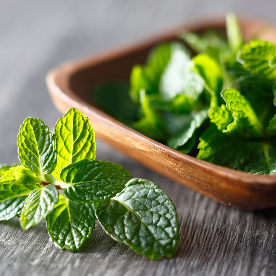 Menthol（薄荷腦）