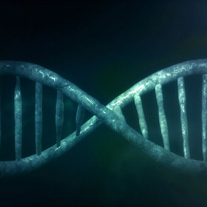 珍稀 DNA 鈉 (Sodium DNA / PDRN)