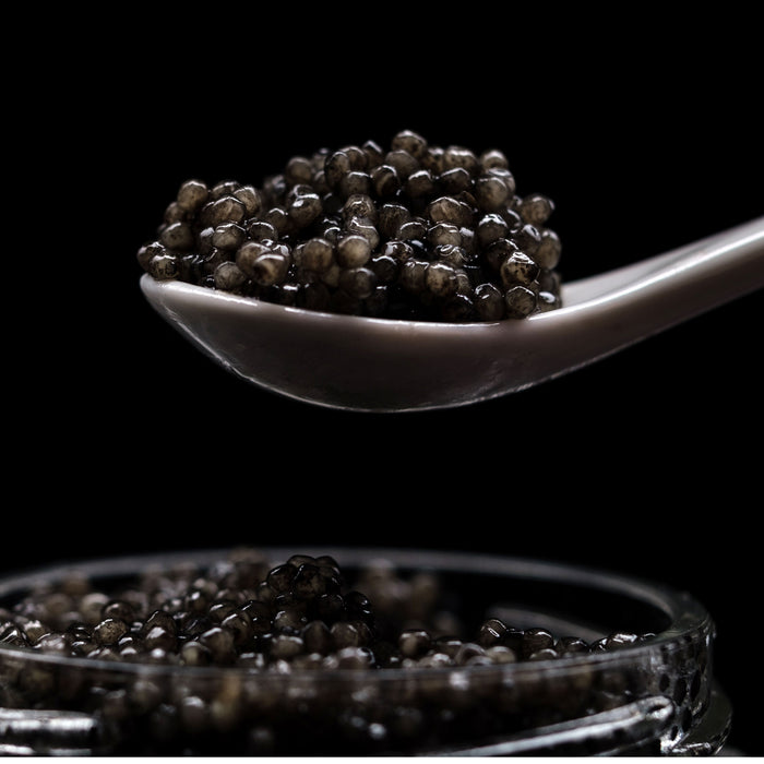 鱘魚子醬萃取 (Caviar Extract) 