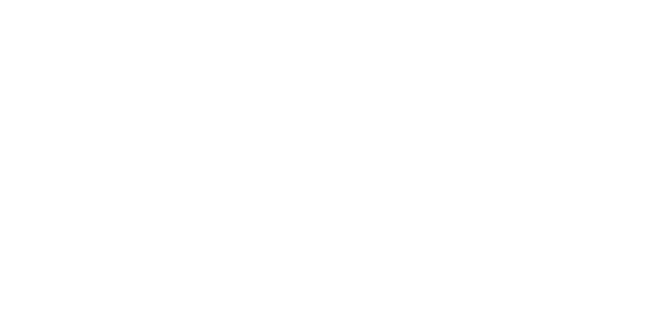 光溯LightJournal